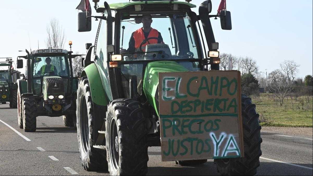 Debajo de la lechuga hay tomate