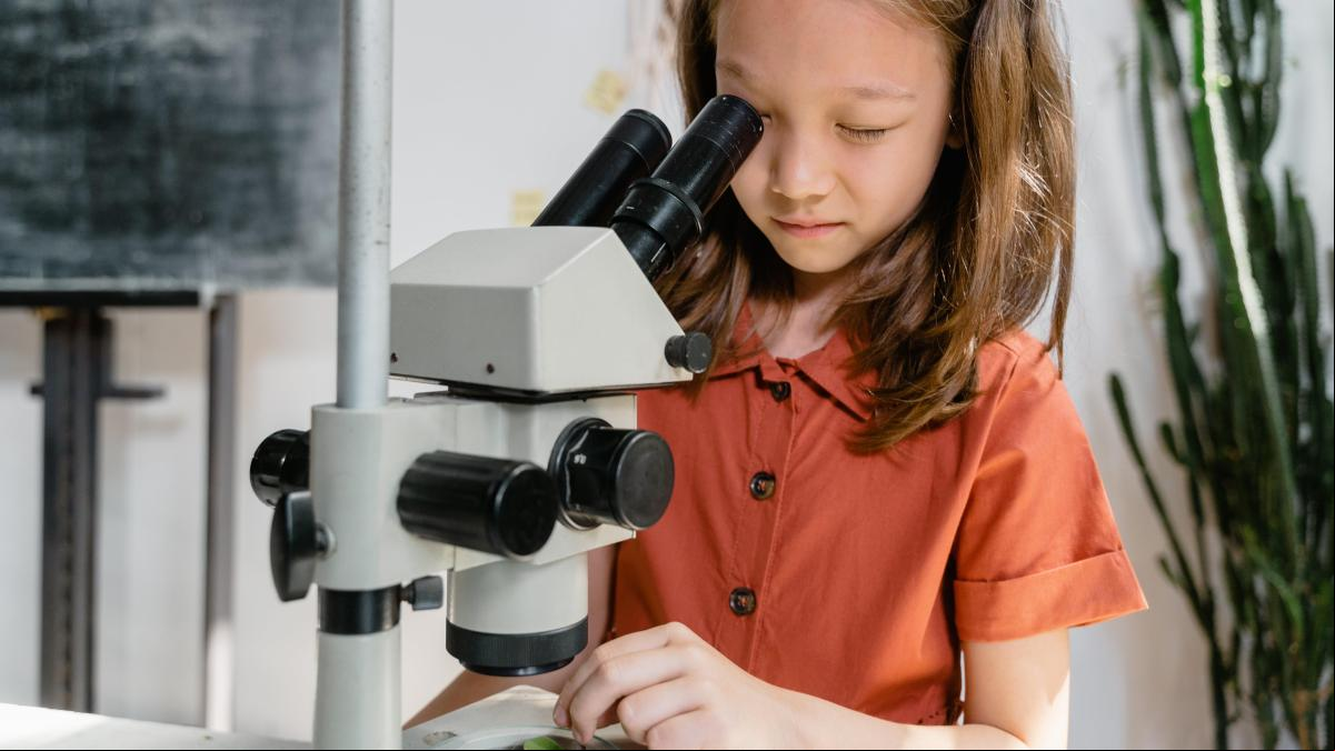 Las universidades se preparan para celebrar el Día de la Mujer y la Niña en la Ciencia
