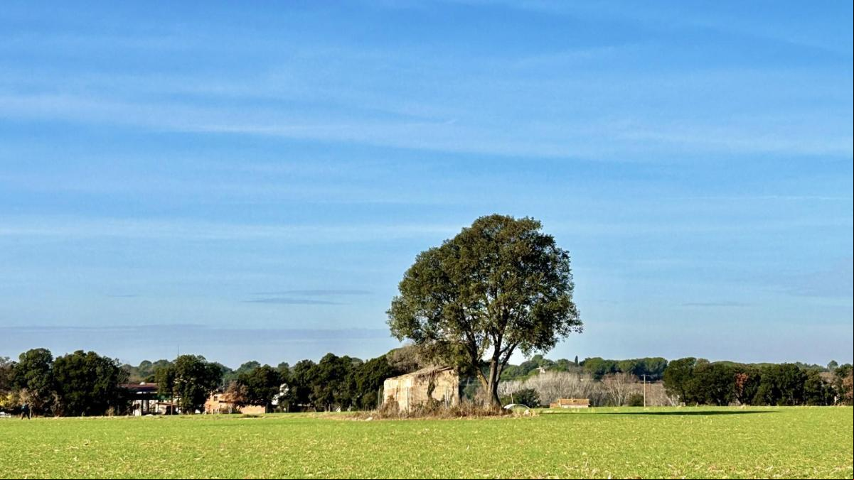 El valor al alza del ruralismo verde