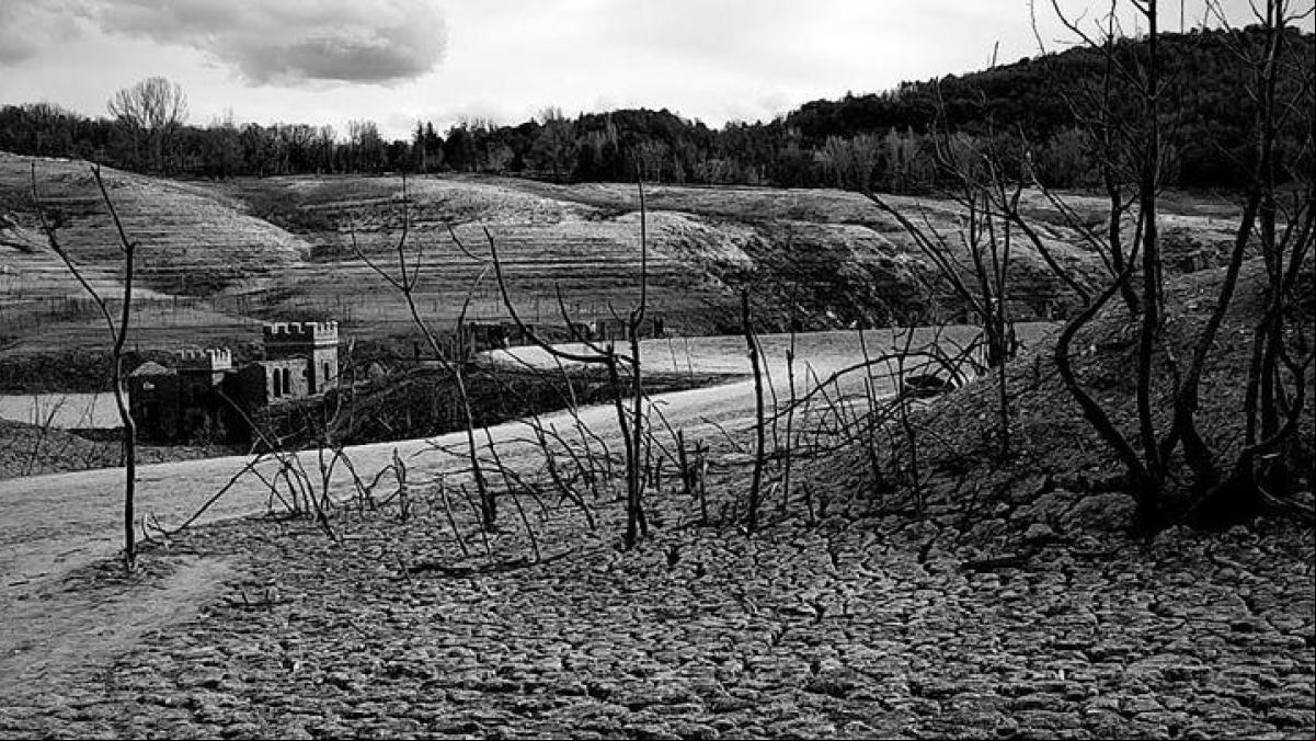 Drama en blanco y negro del pantano de Sau