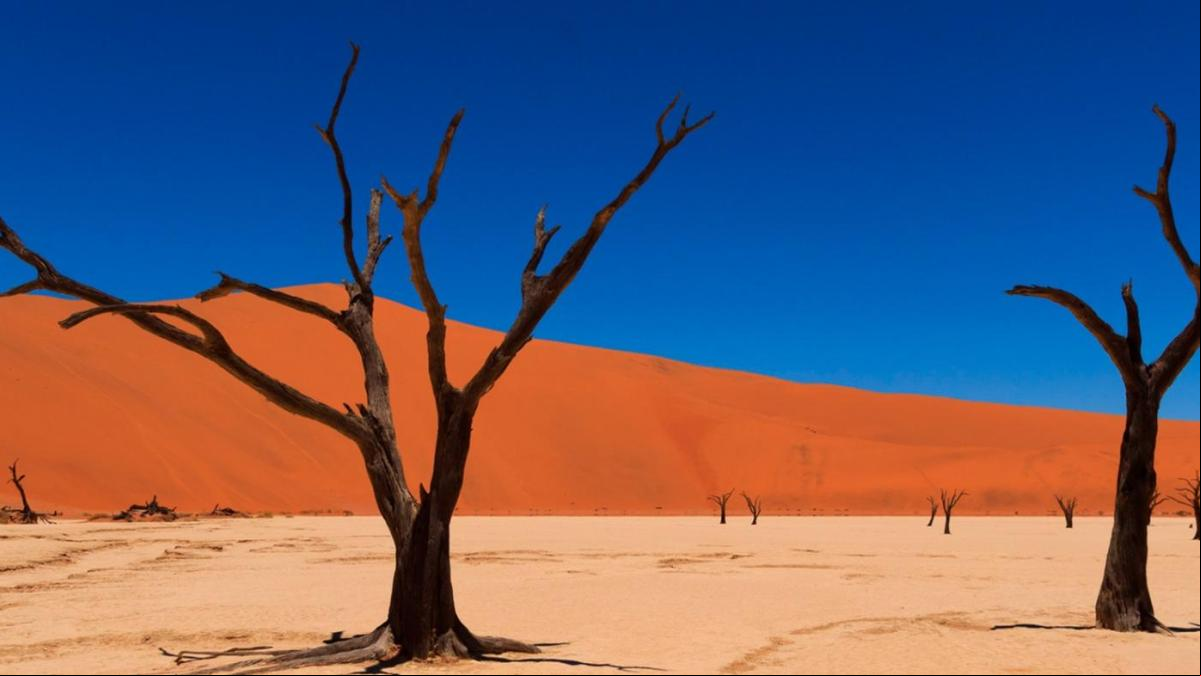 Los 10 mejores destinos exóticos para viajar este 2024