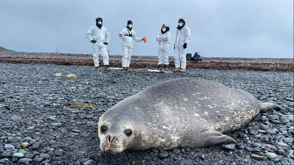 El Oceanogràfic participa en una investigación sobre los mamíferos y el cambio climático