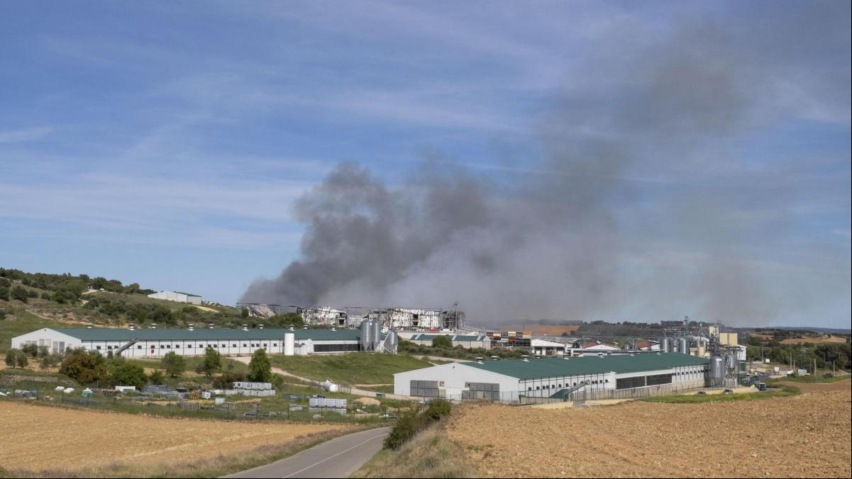 Mueren 600.000 gallinas en el incendio de tres naves avícolas en Cuenca