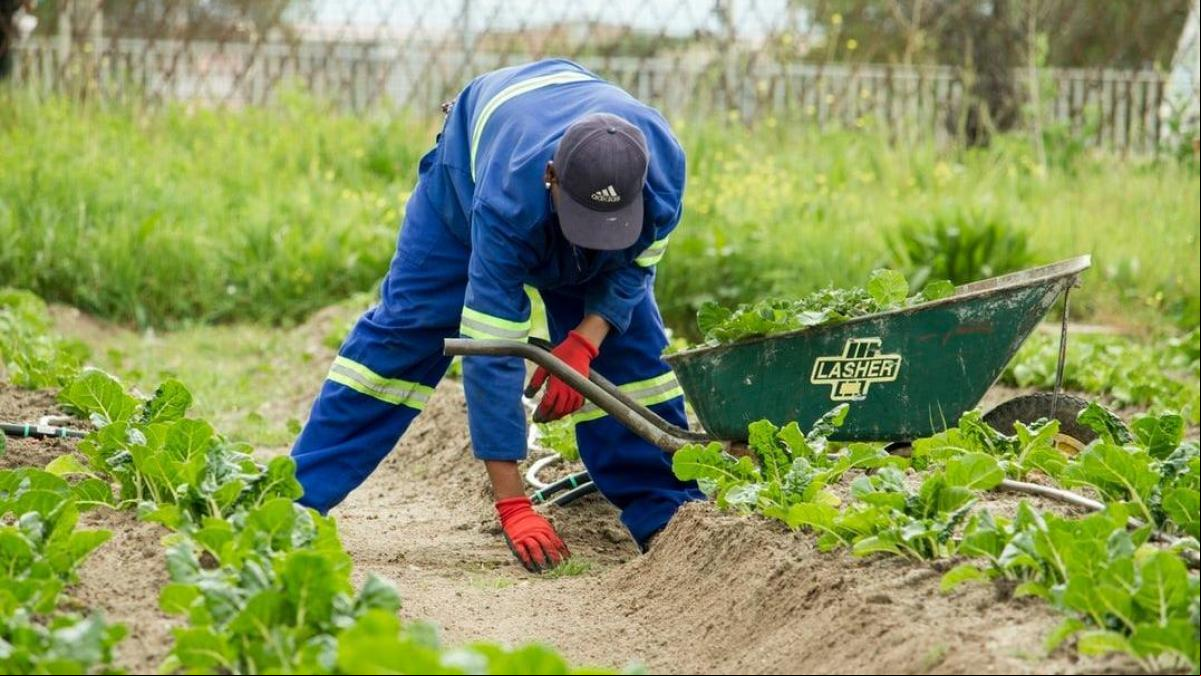 Bancos de tierras, la solución frente al abandono rural que evitaría desastres ambientales