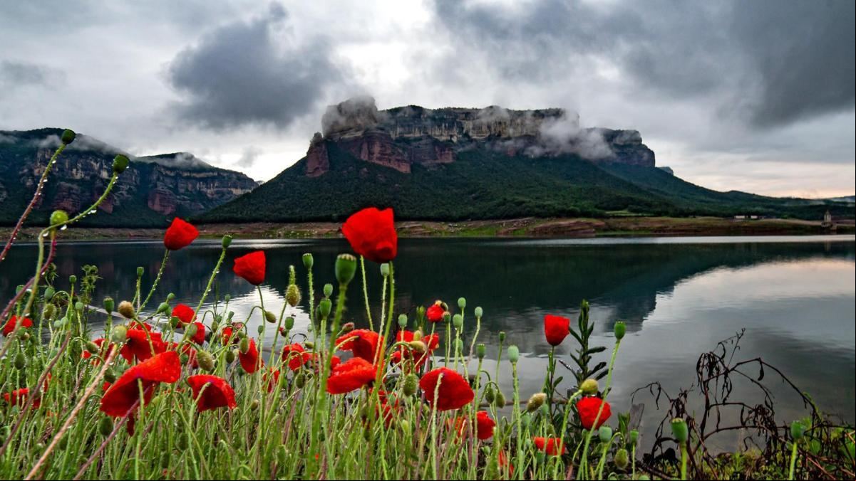 ¿Por qué es más bello ahora el paisaje del pantano de Sau tras meses de larga sequía?