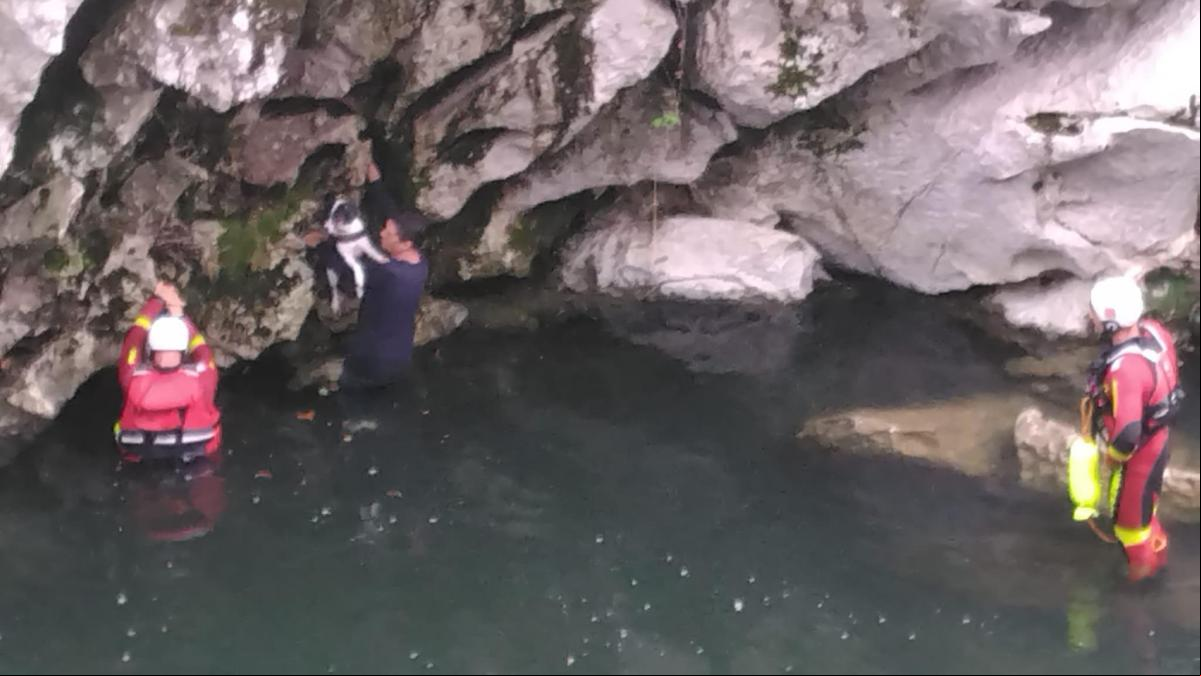 Rescatados ilesos un hombre y su perro que cayeron en un río en Puente Viesgo