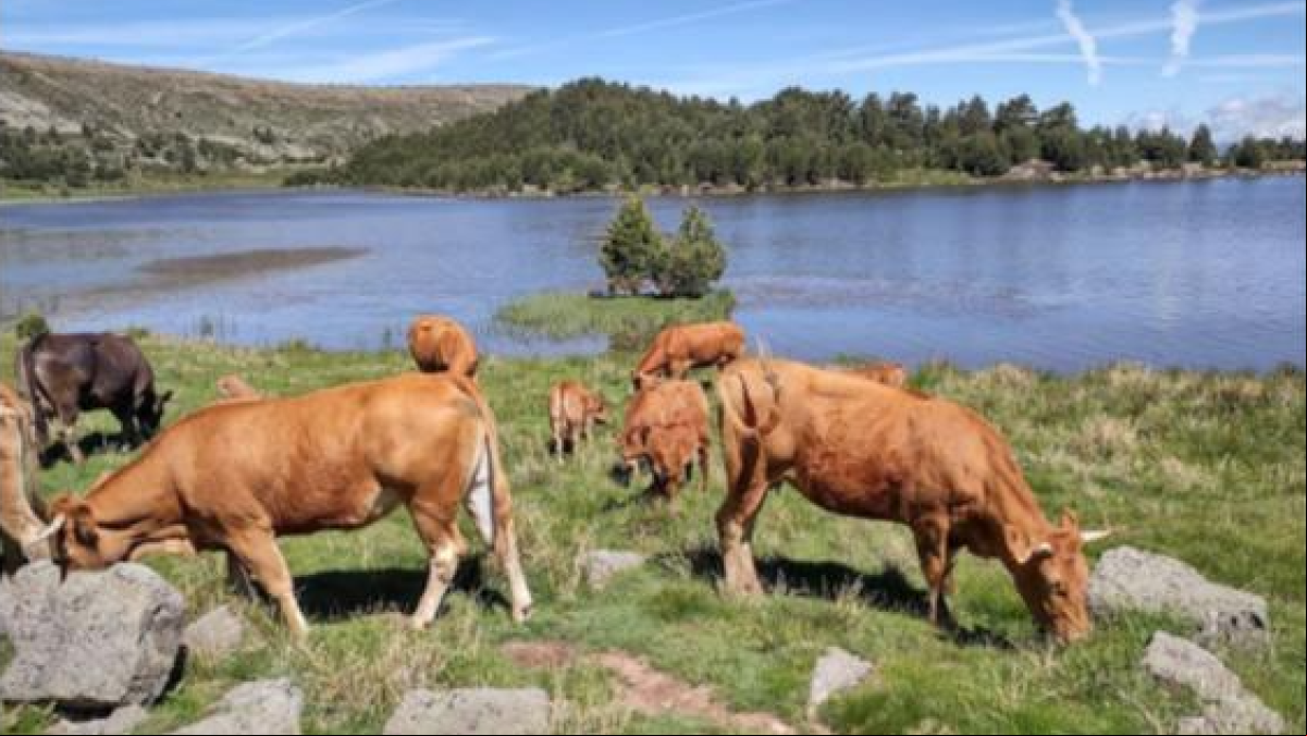 Por tierras de Soria y las Lagunas de Neila