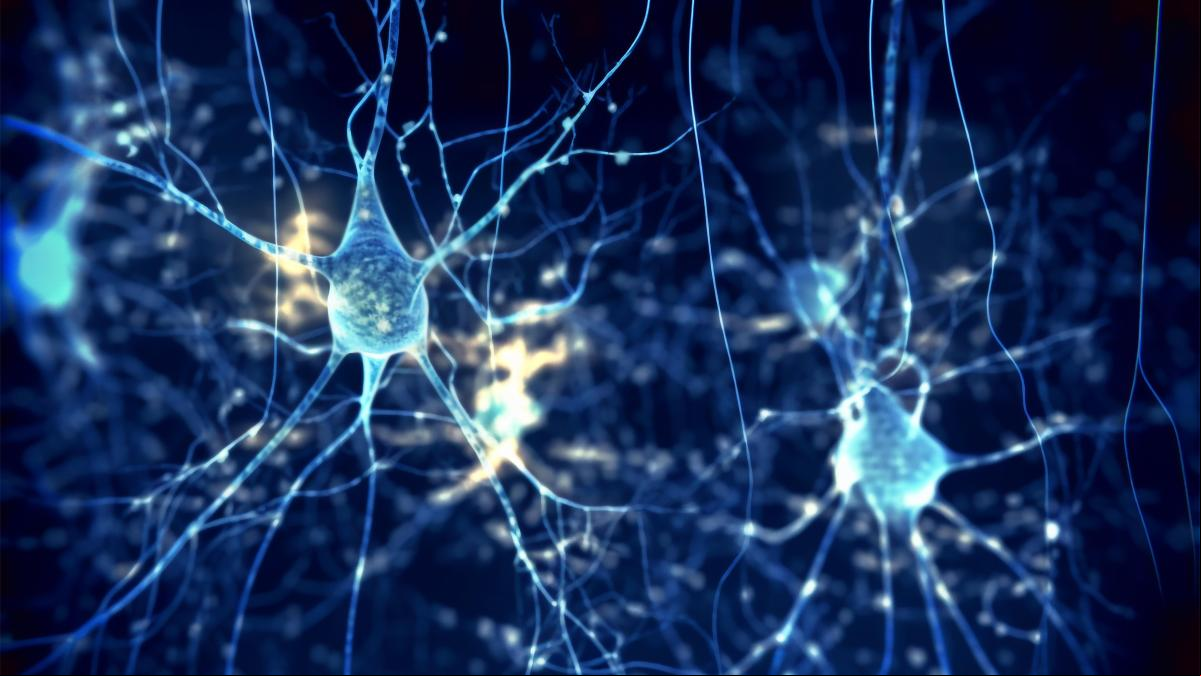 Desarrollan el primer tratamiento para enfermedades causadas por priones