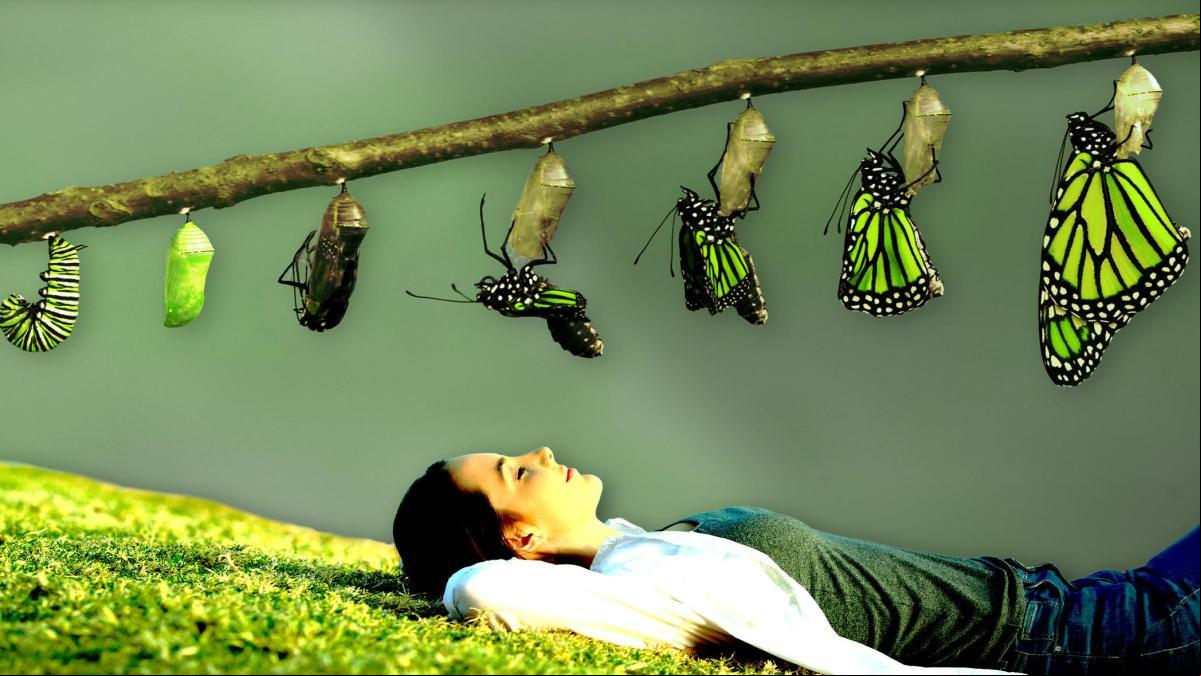 Elogio de la inactividad: estos son los beneficios de darse a la vida contemplativa