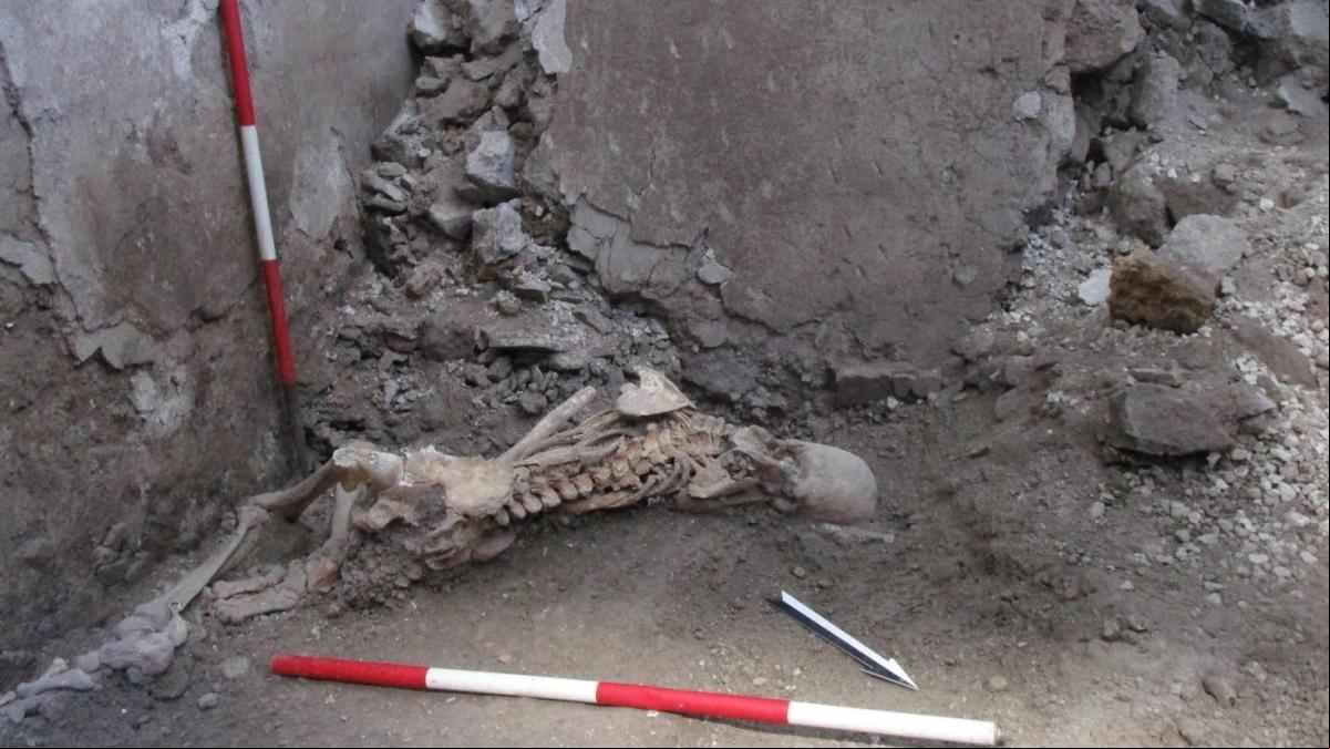 La erupción del Vesubio no fue lo único que causó la masacre en Pompeya
