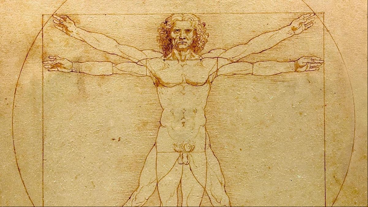 El hilo invisible de la historia: un brillante ensayo sobre lo que mueve a la humanidad