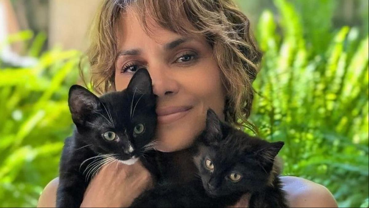 Halle Berry, desnuda y rodeada de gatos en el 20 aniversario de Catwoman Halle Berry, desnuda y rodeada de gatos en el 20 aniversario de Catwoman