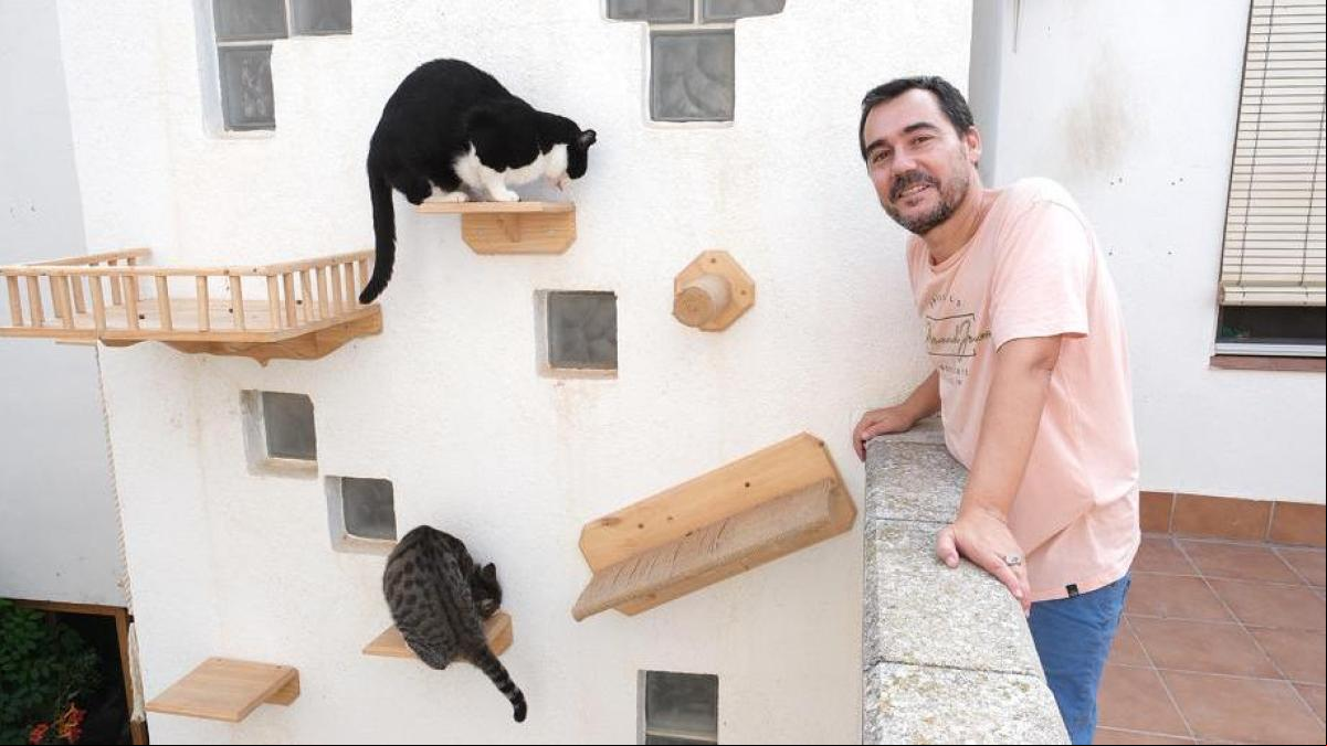 El hombre que cambió de vida para amar a los gatos