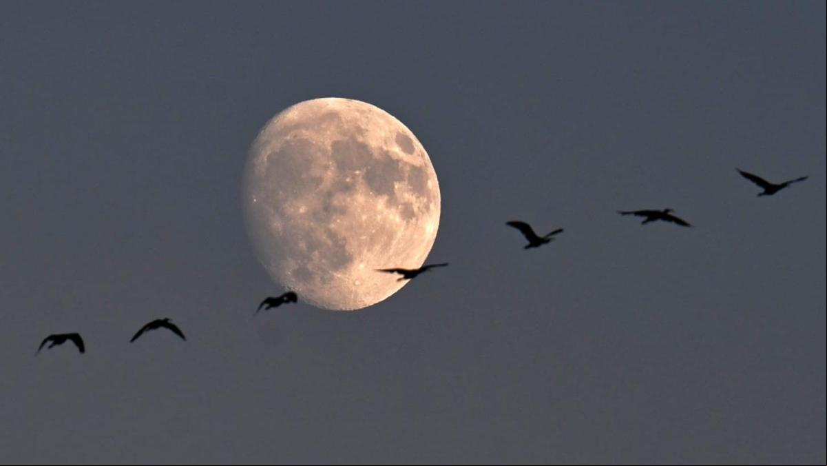 ¿Cuál es el mejor día para observar la Luna?