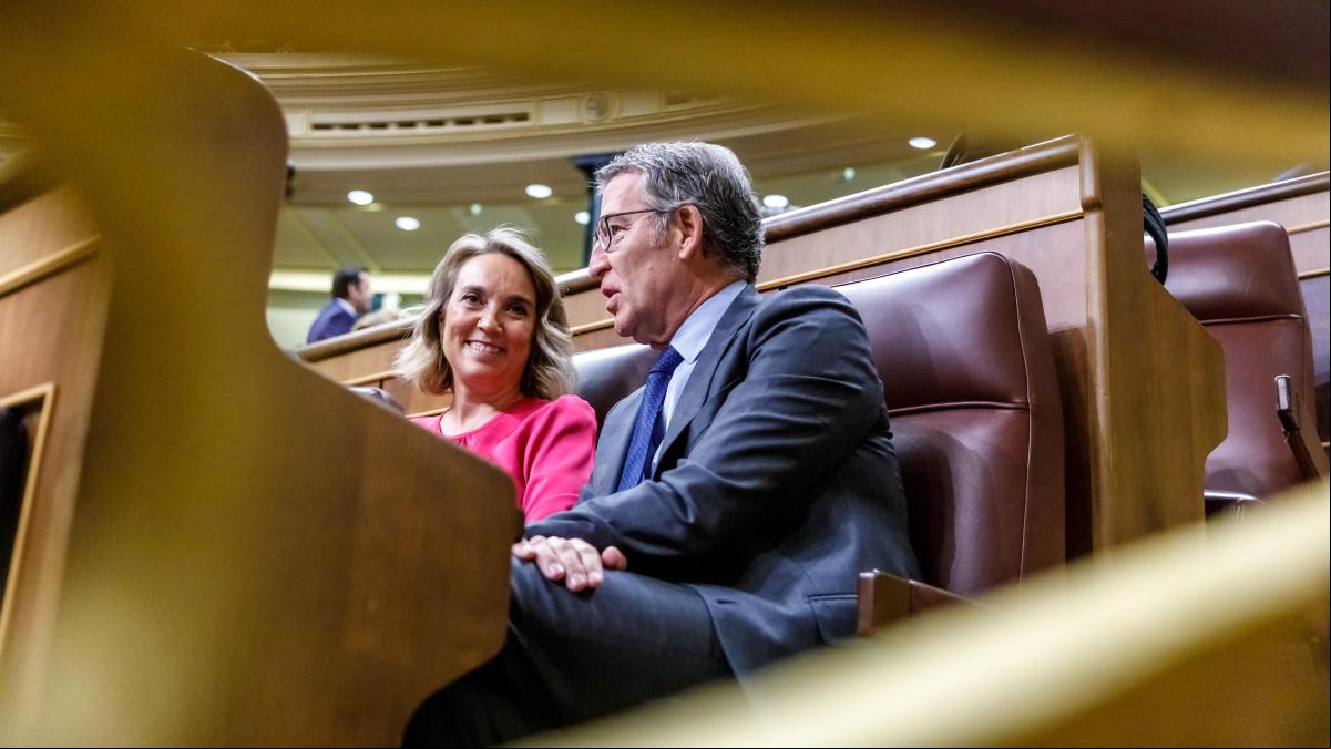 Feijóo: “Si en agosto hubieran detenido a Puigdemont, hoy Sánchez no sería presidente del Gobierno”