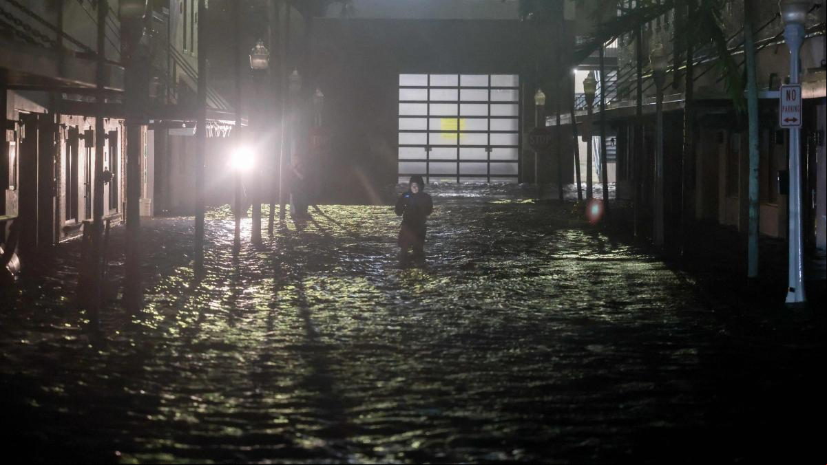 Encuentran un cocodrilo en el salón de su casa debido al las inundaciones provocadas por el huracán Helen
