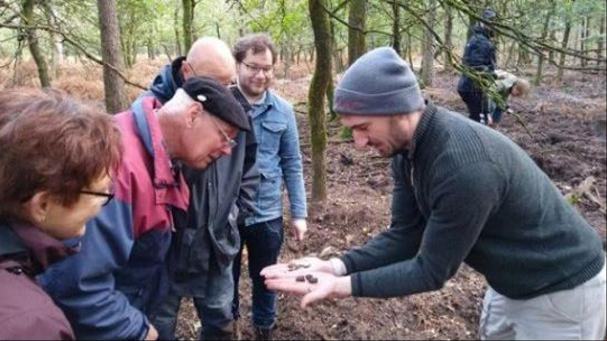 Un grupo de aficionados descubre un millar de túmulos funerarios prehistóricos en los Países Bajos
