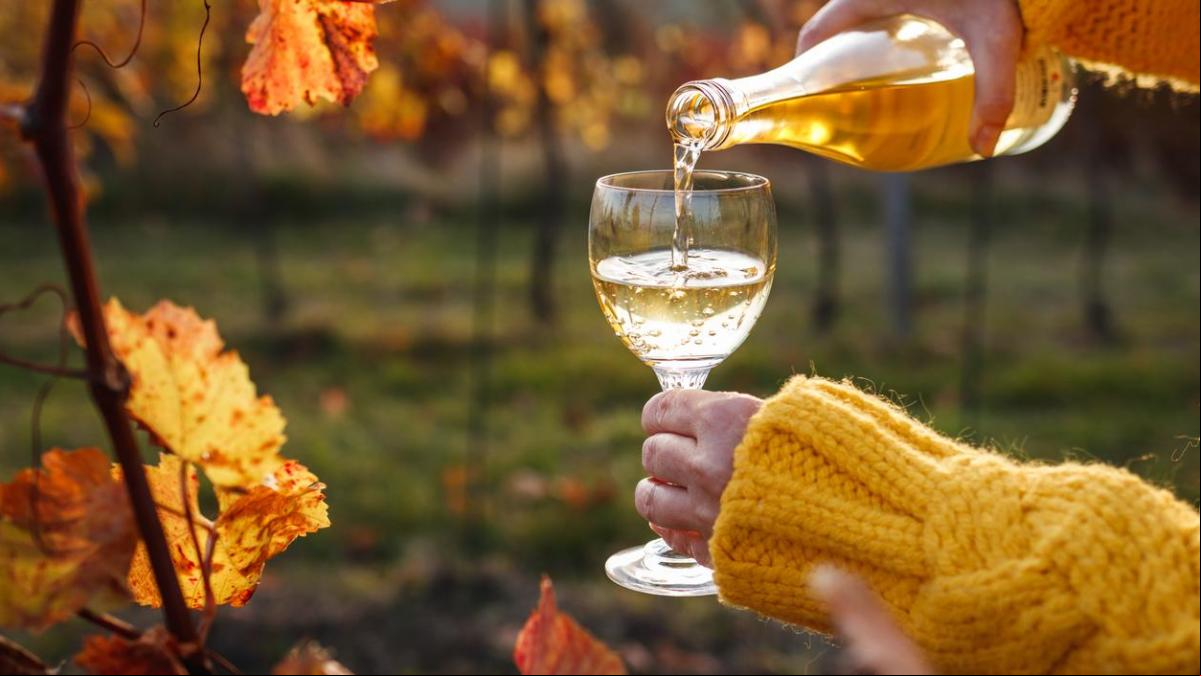 7 vinos blancos desconocidos que te sorprenderán