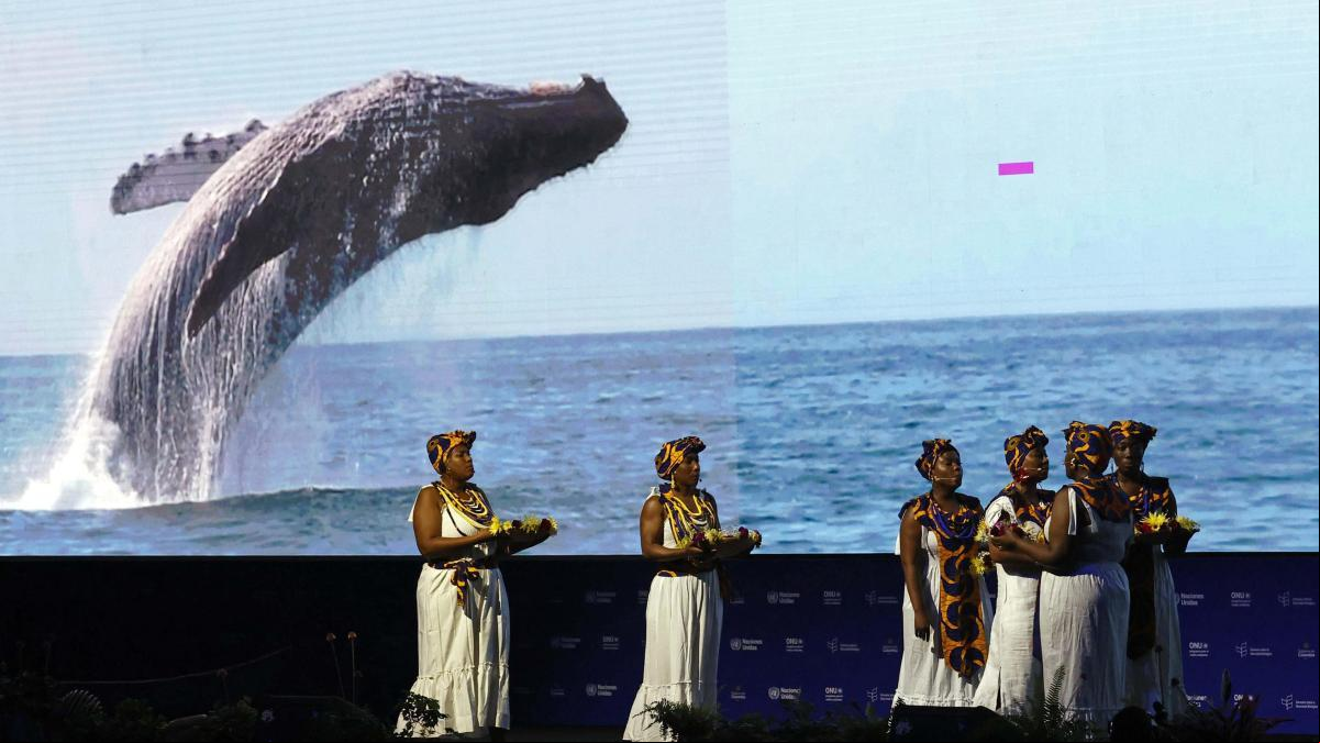 SOS de la biodiversidad en la COP16: cinco retos para preservar la vida planetaria
