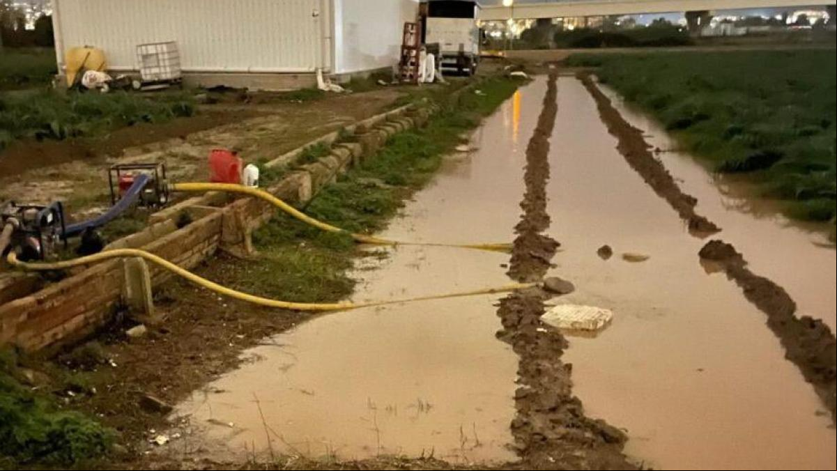 Unió de Pagesos alerta de grandes afectaciones por la DANA en el Parc Agrari del Baix Llobregat