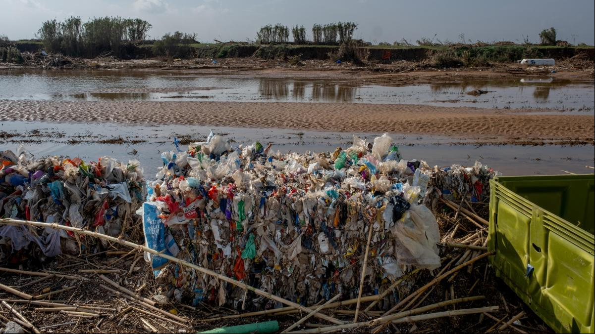 Alertan de un catastrófico e histórico daño de la DANA a la Albufera, cuantificado en 10 millones