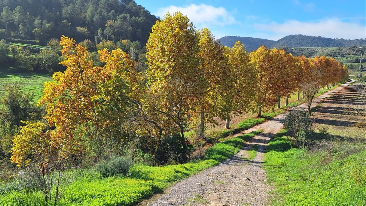 El otoño íntimo de Porquerisses