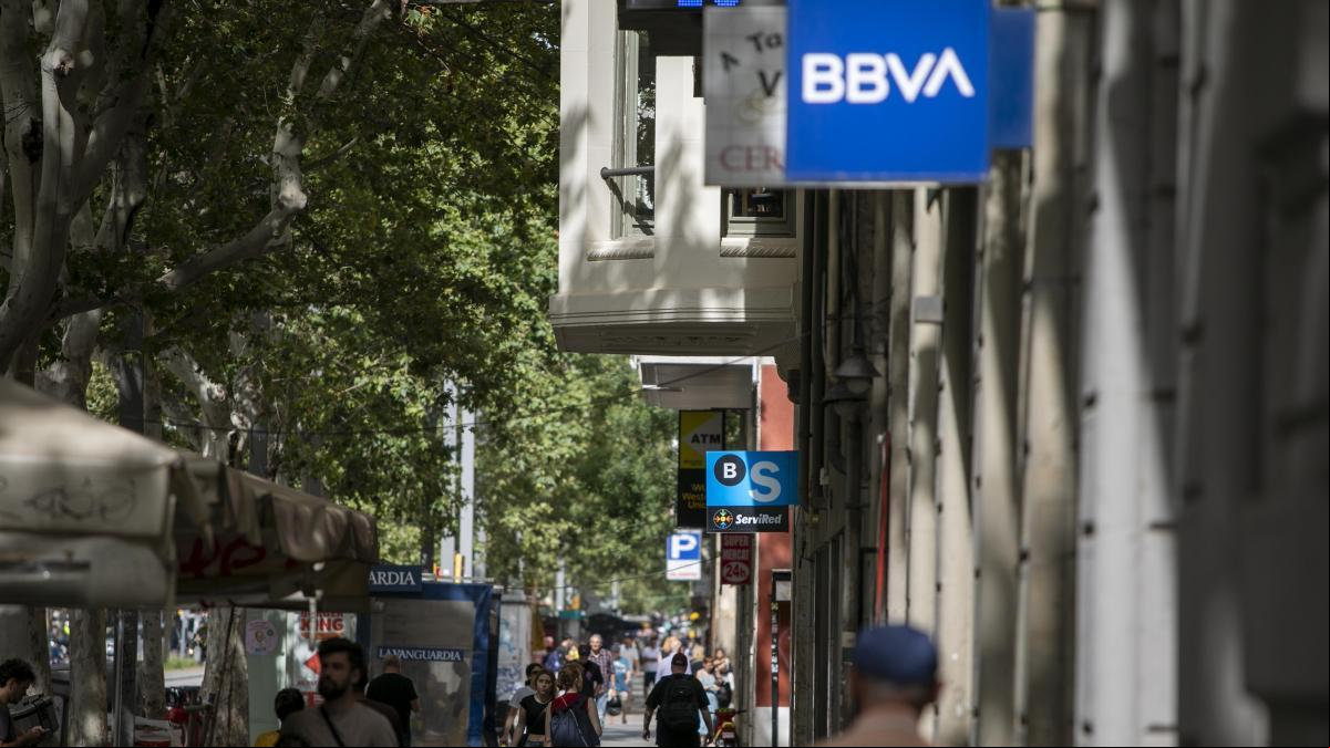 La política debe decidir