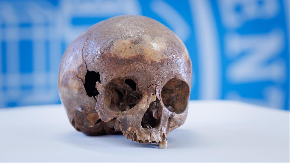 El supuesto cráneo de la hermana de Cleopatra pertenecía en realidad a un niño de 11 años El supuesto cráneo de la hermana de Cleopatra pertenecía en realidad a un niño de 11 años