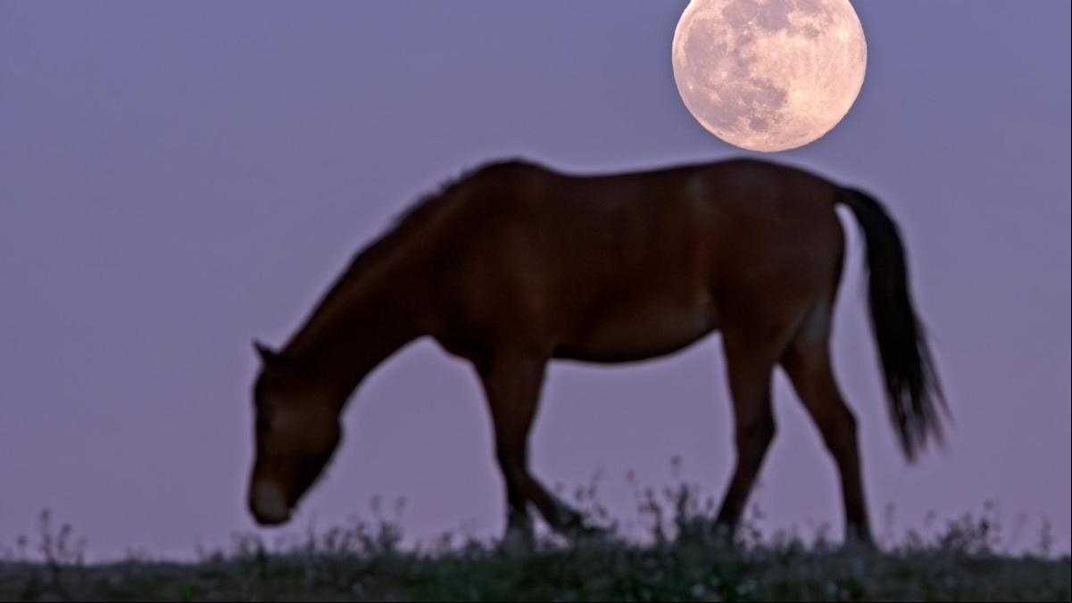 La luna llena de los caballos de Vic publicada en La Vanguardia y que ha seleccionado la NASA