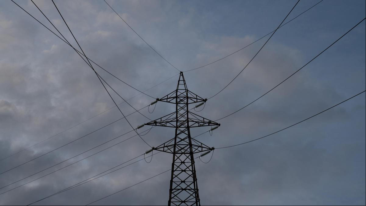 La red eléctrica, en cuestión