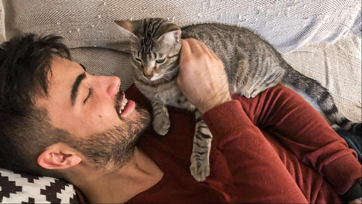 “Cada noche mis gatos me recuerdan que mi cama es su cama. Ellos me dan permiso para dormir a su lado. El mundo al revés”