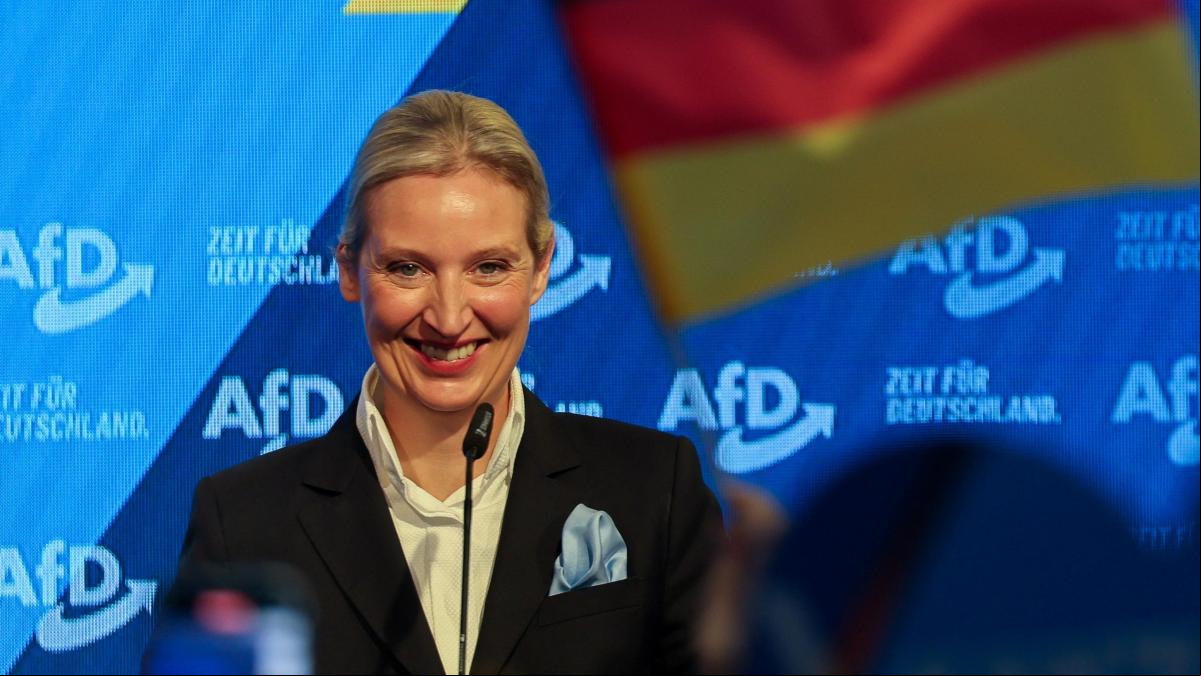 ¿Dónde está el techo de la AfD?