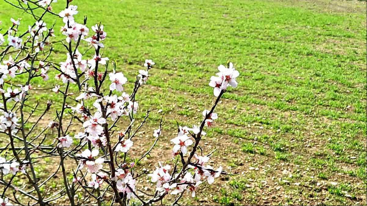 La primavera ya se respira en Calders