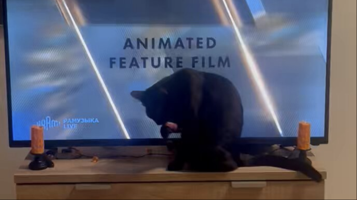 La cinéfila gata negra que predijo el triunfo de Flow en los Oscar antes que nadie: “Lo acaba de ganar y ni le importa”