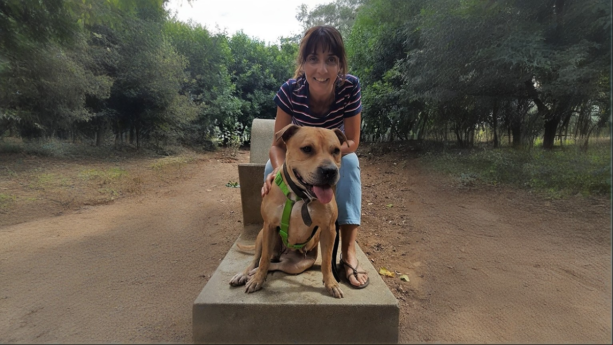 “Si tienes la oportunidad de adoptar un perro potencialmente peligroso (PPP), hazlo con el corazón y la mente abiertos, y verás lo que realmente significa tener un animal que solo quiere dar amor”