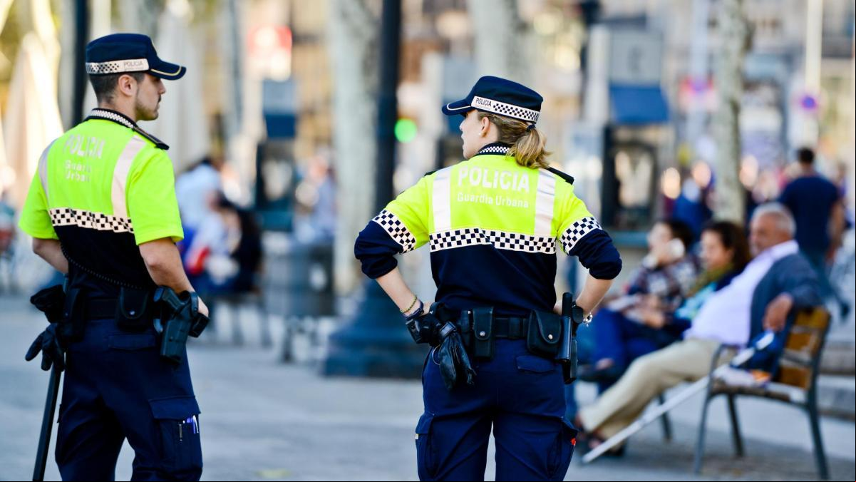 Oposiciones a fuerzas y cuerpos de seguridad del Estado: requisitos, temario y cómo prepararte