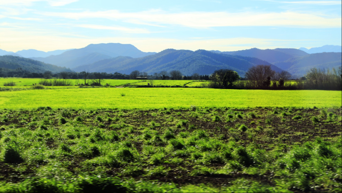 Paisajes de verde que te quiero verde