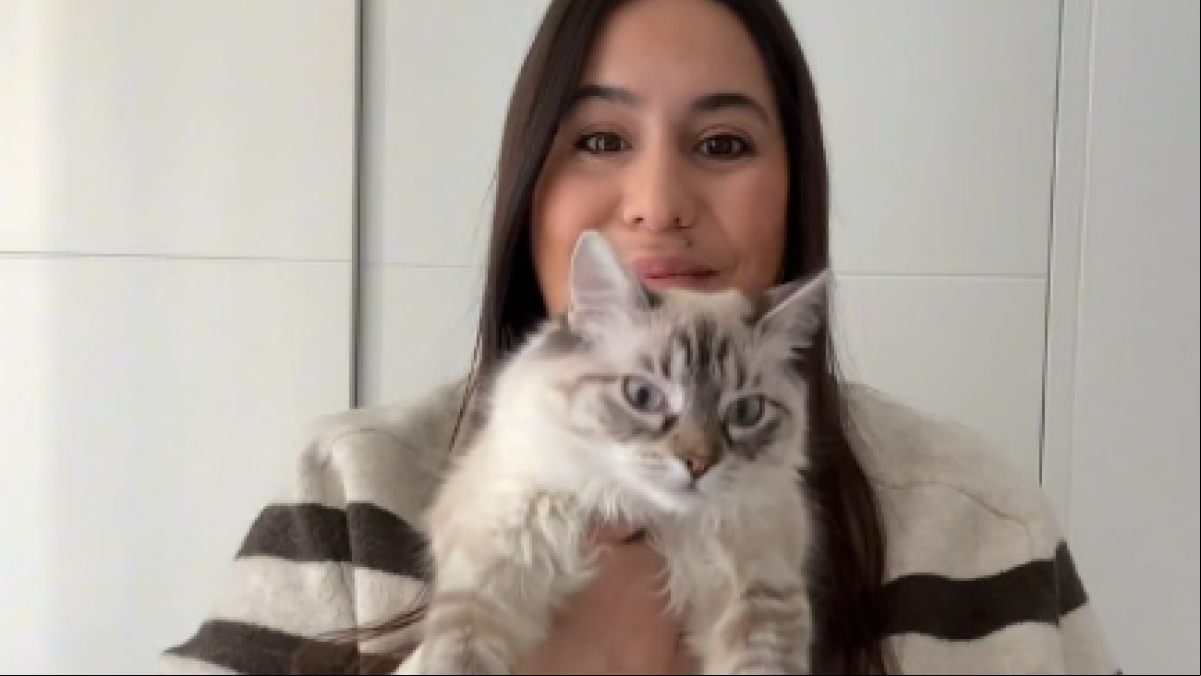 Desirèe Olmeda, rescatadora de gatos: “Es muy bueno y necesario para los gatos tomar el sol, pero si la exposición es muy prolongada y diario lo ideal es poner un poco de protector”