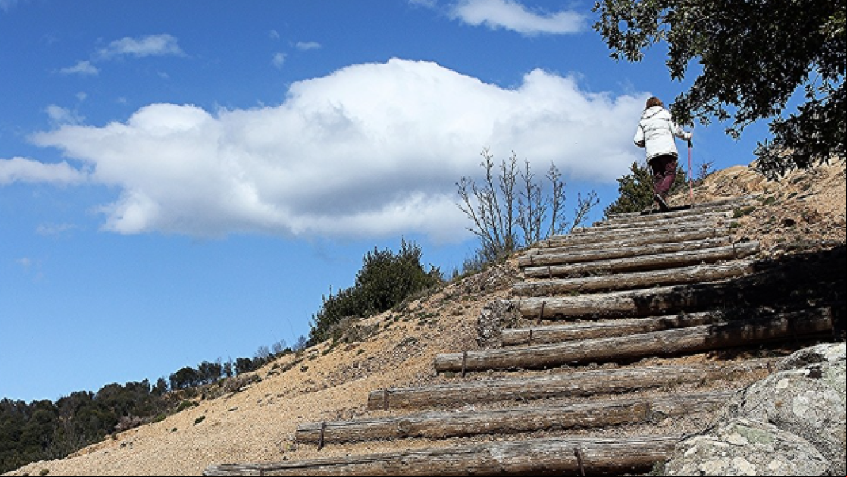 Escalera hacia el cielo en Viladrau