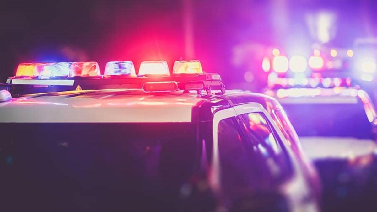 Arranca de un mordisco la oreja de un hombre y roba el coche de su madre para huir en Palencia