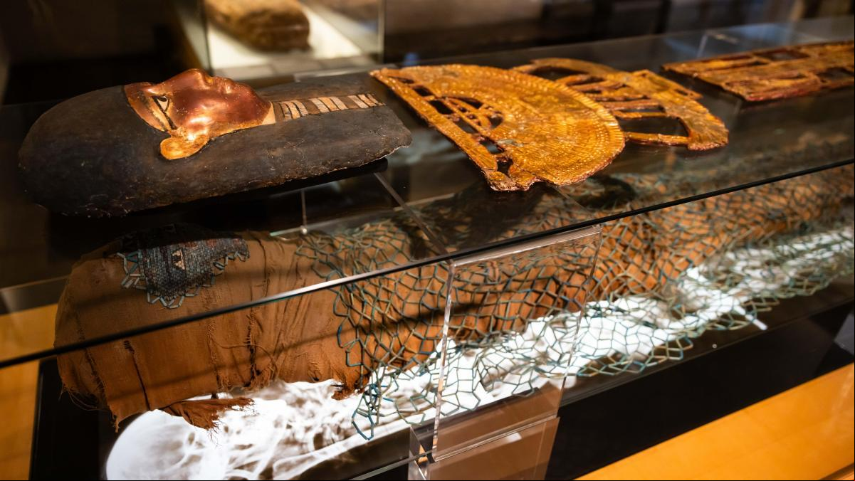 Déus, visirs i taüts: el Museu Egipci afegeix una vintena de peces a la seva col·lecció