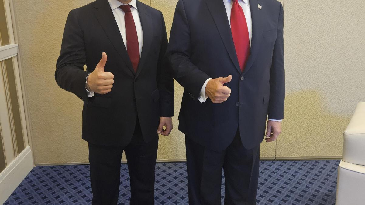Oli, vi i... els vots de Vox