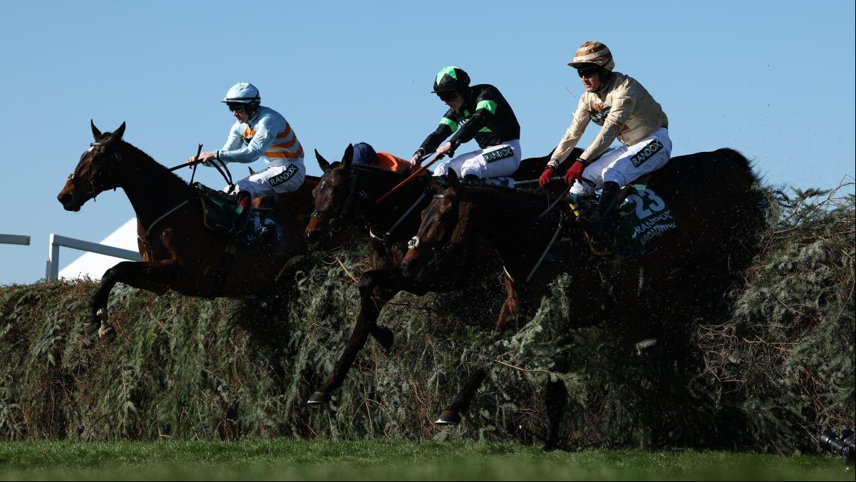 Un caballo muere por agotamiento tres días después de desplomarse en el Grand National