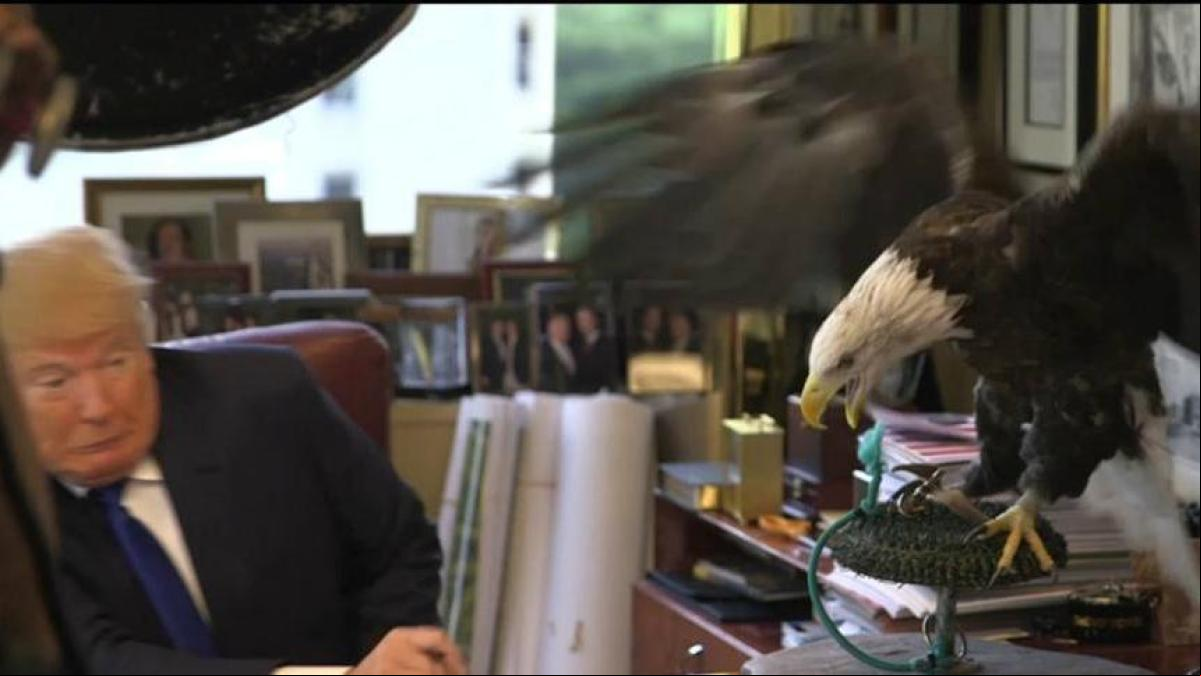 Avestruces, águilas, conejos… Cómo Trump, Boris Johnson y Jimmy Carter sobrevivieron a animales ‘magnicidas’