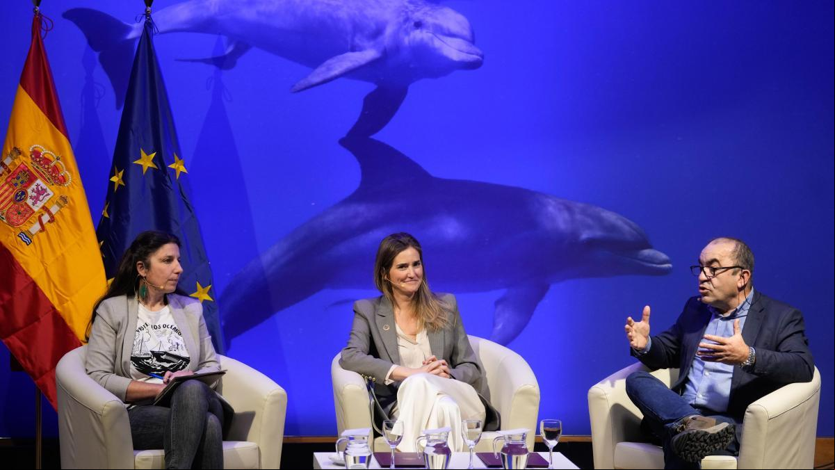 La falta de ratificación del Tratado del Océano pone en riesgo las áreas marinas protegidas