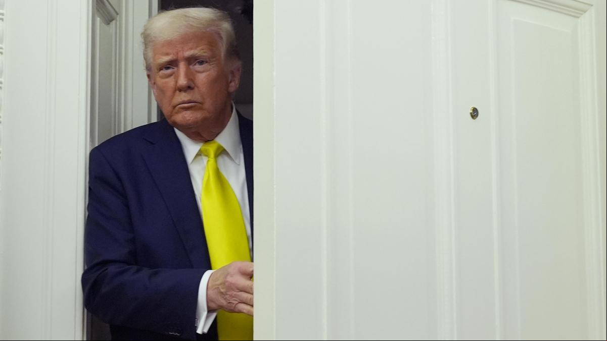 La lógica MAGA