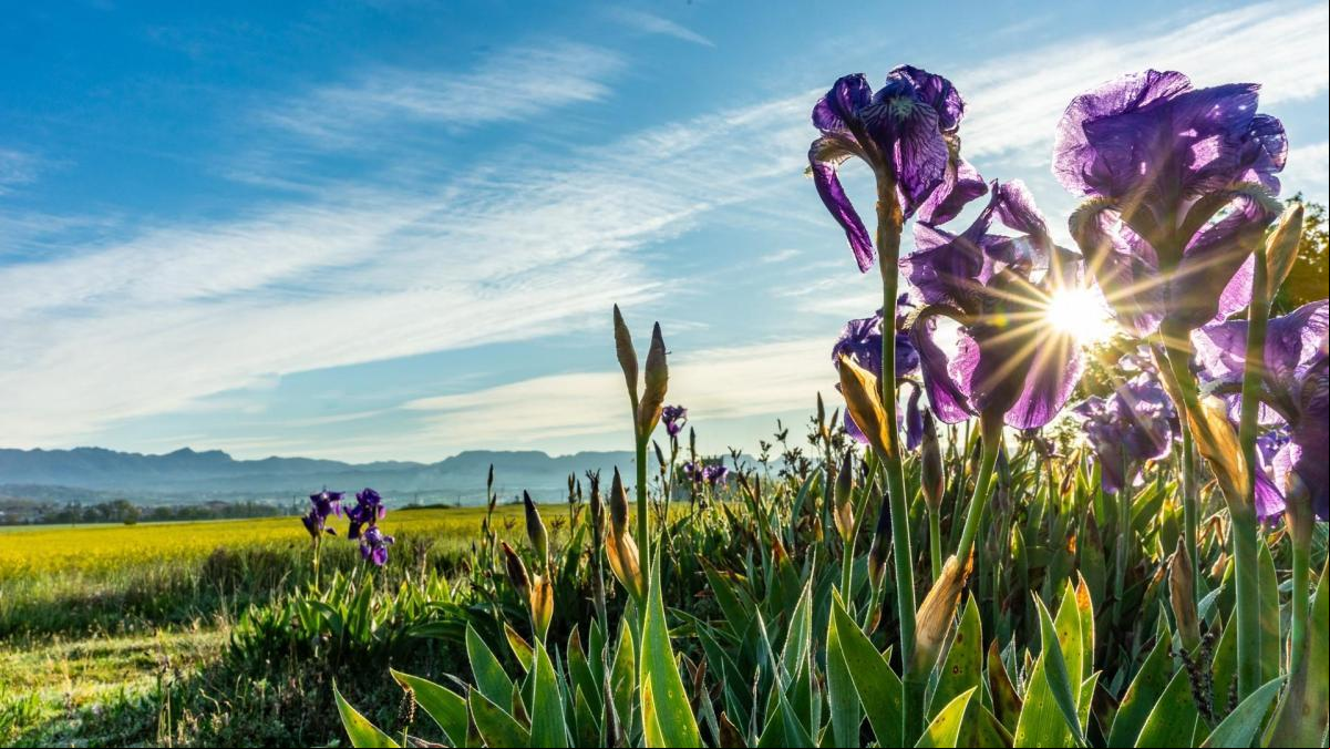 La sublime primavera invita a evadirse