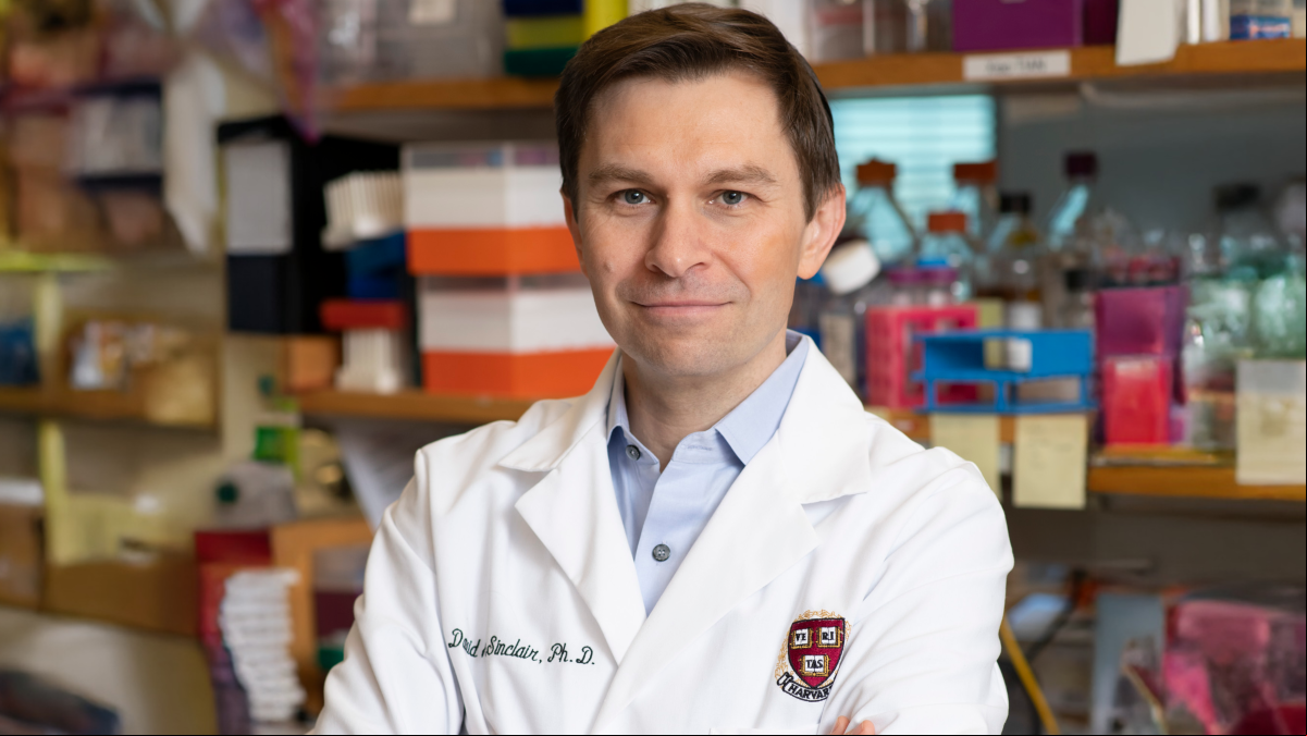 David Sinclair, 55 años, experto en longevidad de Harvard: “Una comida al día es suficiente para alguien de 50 años, pues activa los genes de longevidad que frenan el envejecimiento”