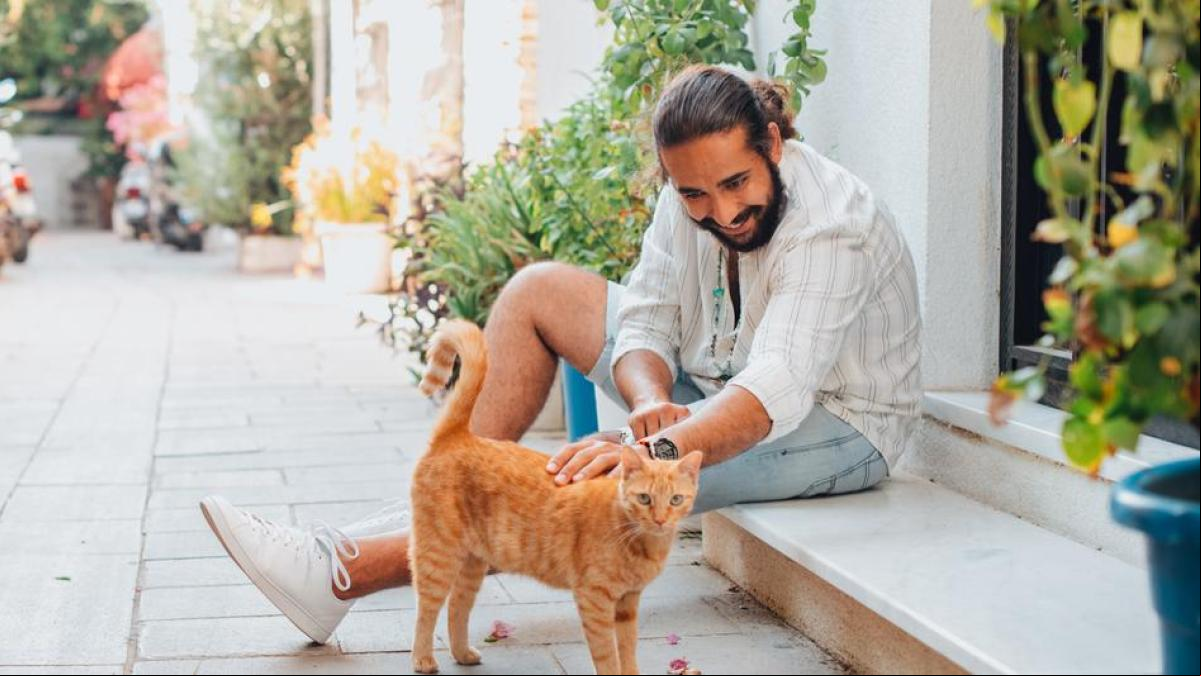 “Separar a un gatito de su madre por puro capricho, sin una razón válida, es un acto cruel y egoísta”