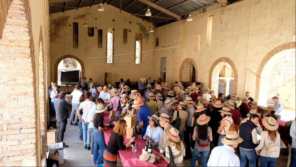 Sorbos de cariñena en la Mina Eugènia